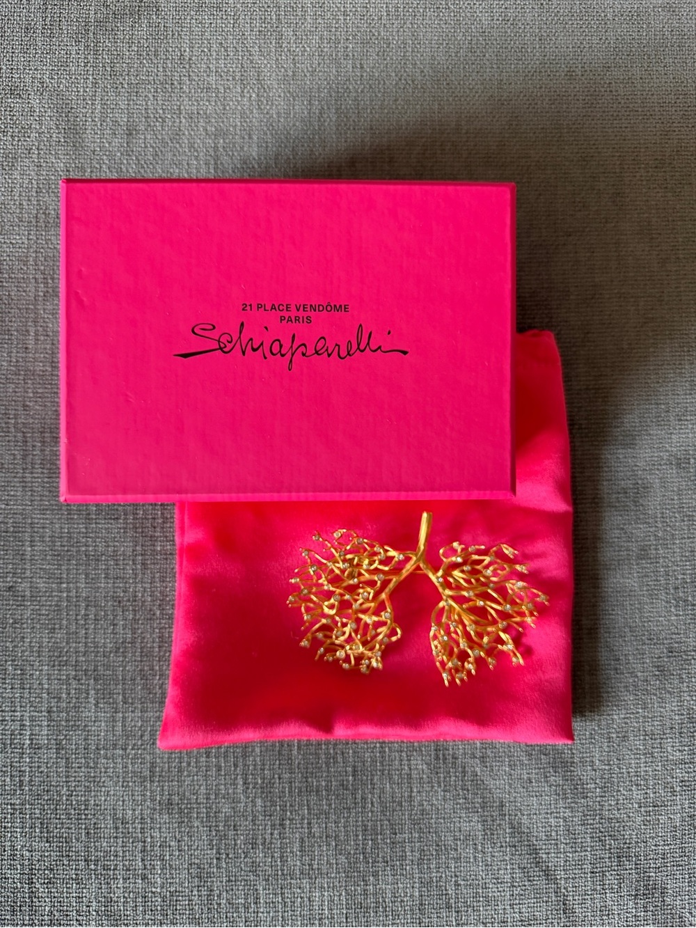 Schiaparelli Lung Gold and Crystal Brooch